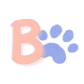 android chrome 512x512